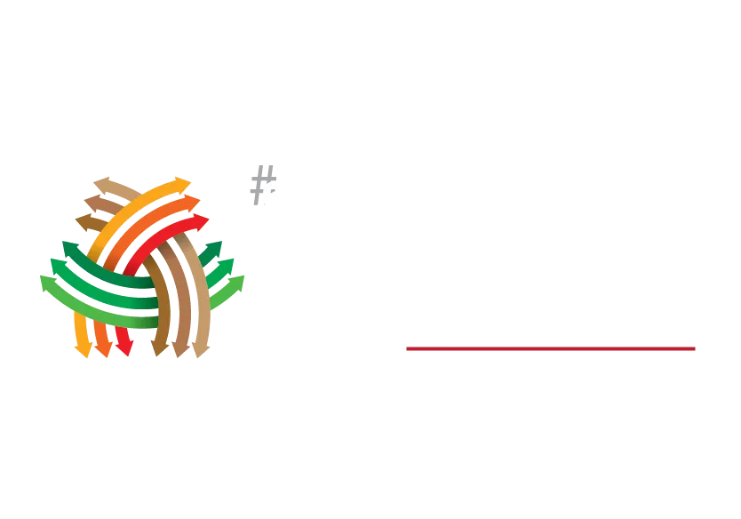 Brazil Yarn and Fabric